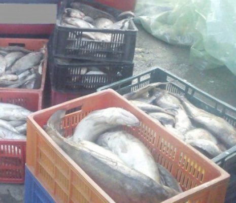 Aveţi grijă ce cumpăraţi: o femeie vindea peşte fără documente legale